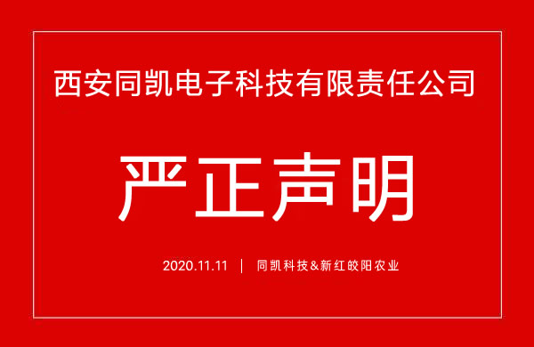 关于网络上仿冒我公司网站进行产品销售的声明