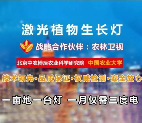 5fec725256f60.jpg 02.jpg