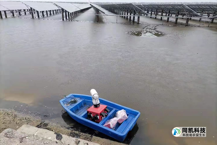 è½½çåå¯é©±é¸å¨çå°è¹å¨ä¸­èè½åä¼åçµç«æ¹ä¸­æ´è£å¾å