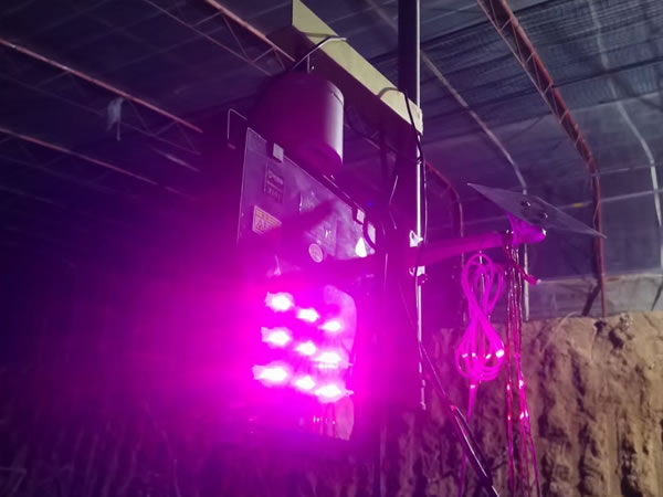 植物生长灯厂家生产的补光灯，对人体有伤害么