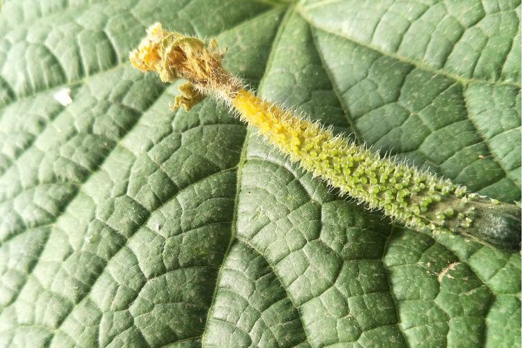 5ffeed8fbbcc5.jpg 02.jpg