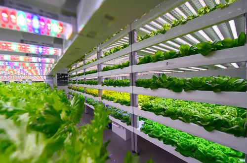 5fffe13b703f5.jpg 01.jpg