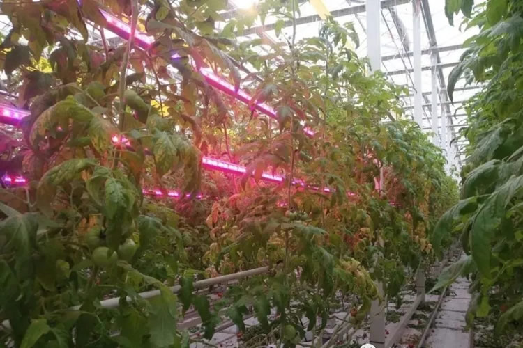 60018aa3087df.jpg 04.jpg