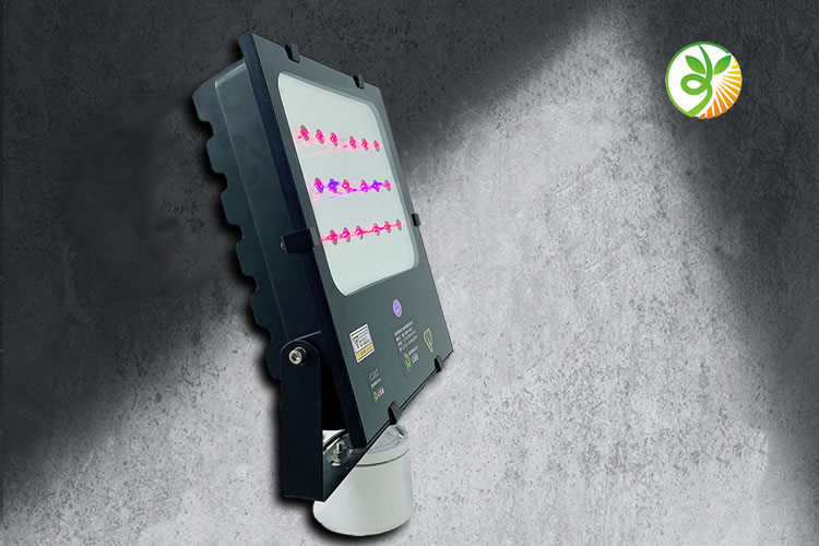 60068e893aca6.jpg 02.jpg