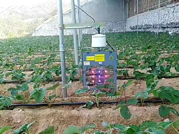 为什么温室大棚夜间需要补光-激光植物生长灯