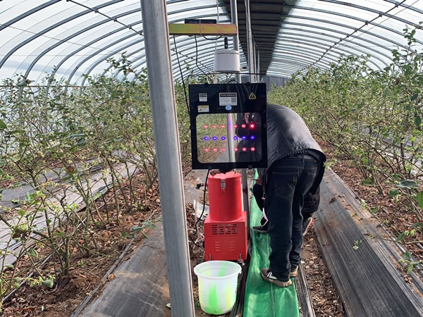 植物补光技术到底是啥，能完全代替太阳光吗？