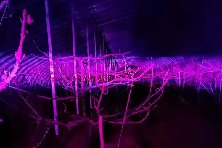 601b5baf50fc1.jpg 01.jpg