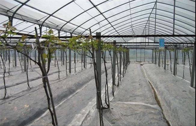 602f100d685d4.jpg 01.jpg